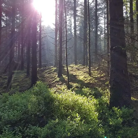 Feriehus Tara Hill Estate *