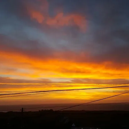 Tara Hill Estate * גורי