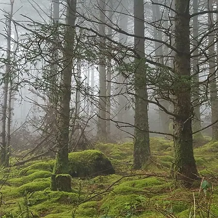 Prázdninový dům Tara Hill Estate