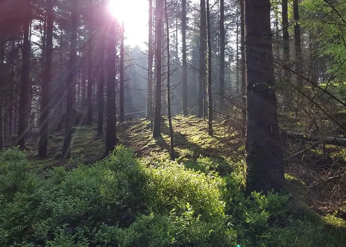 펜션 Tara Hill Estate *