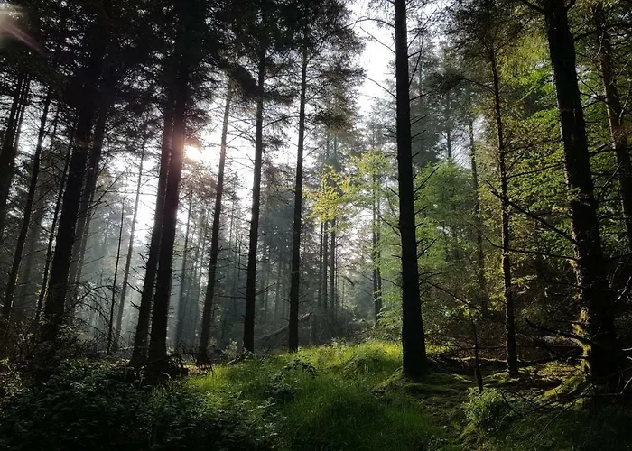 Tara Hill Estate 펜션 *