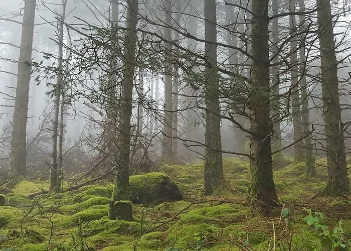 펜션 Tara Hill Estate